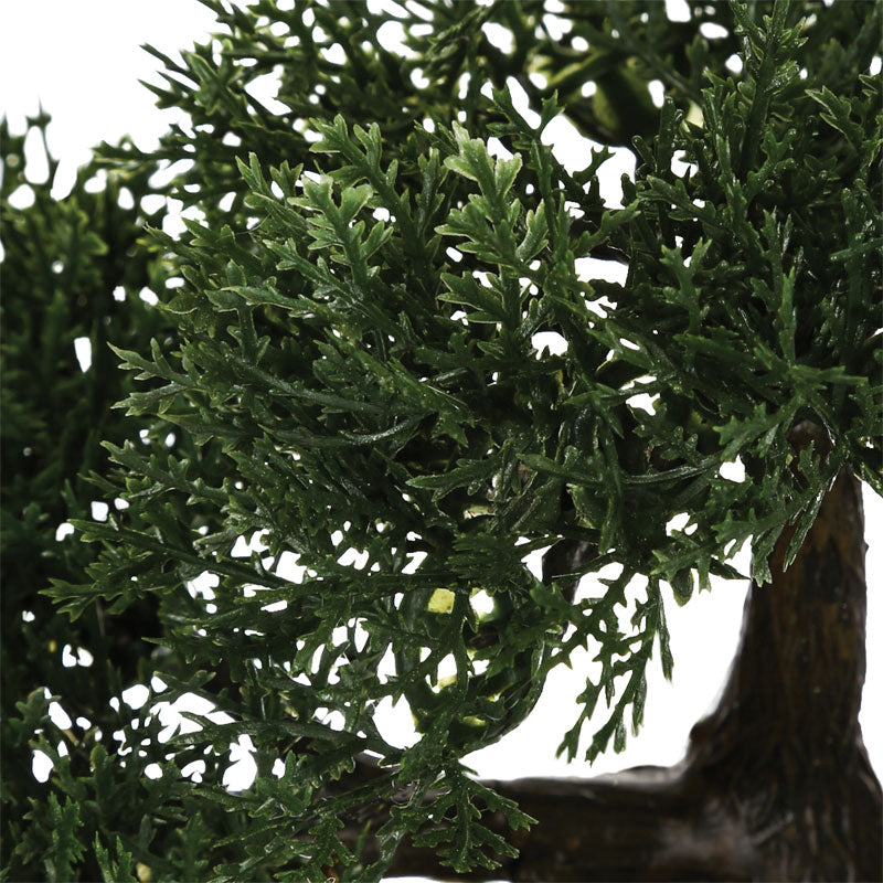 Φυτό σε γλάστρα Green18 35x32x34εκ