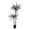 Διακοσμητικό φυτό Dracaena palm σε γλάστρα Inart πράσινο pp Υ125εκ
