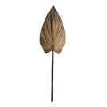 Διακοσμητικό φύλλο Leafen φυσικό palm leaf 134εκ