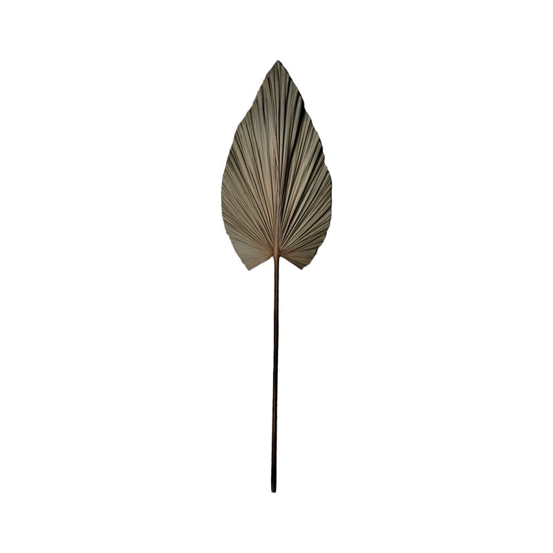 Διακοσμητικό φύλλο Leafen I Inart φυσικό palm leaf 121εκ