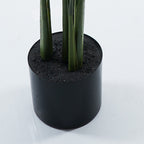 Διακοσμητικό φυτό σε γλάστρα Calathea Inart πράσινο Φ68x120εκ