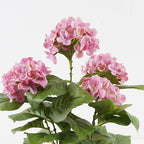 Διακοσμητικό φυτό σε γλάστρα Hydrangea Inart ροζ Φ35x50εκ