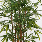 Διακοσμητικό φυτό σε γλάστρα Rhapis Palm Inart πράσινο Φ60x120εκ
