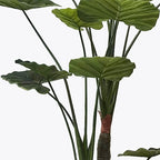 Διακοσμητικό φυτό σε γλάστρα Taro Plant Inart πράσινο Φ90x180εκ