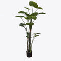 Διακοσμητικό φυτό σε γλάστρα Taro Plant Inart πράσινο Φ90x180εκ