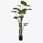 Διακοσμητικό φυτό σε γλάστρα Taro Plant Inart πράσινο Φ90x180εκ