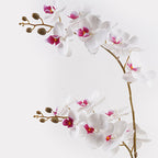 Διακοσμητικό φυτό σε γλάστρα Οrchid White Inart 36x17x65εκ