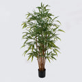 Διακοσμητικό φυτό σε γλάστρα Rhapis Palm Inart πράσινο Φ80x180εκ