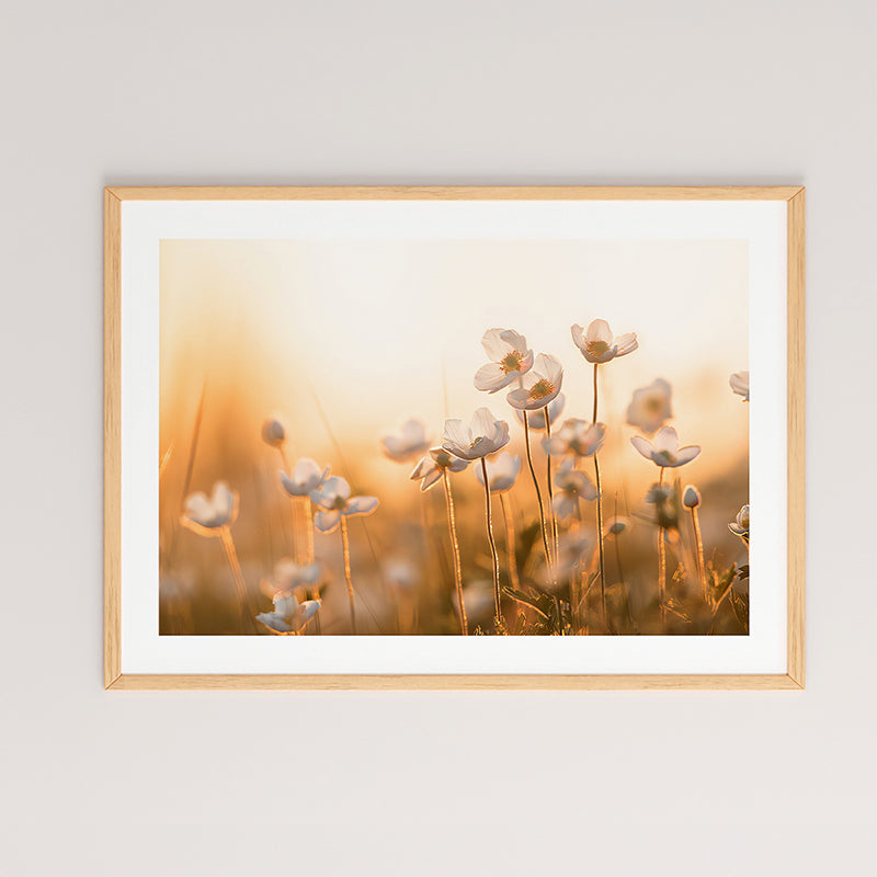 Πίνακας Floraza με ψηφιακή εκτύπωση και πλαίσιο 48x1.5x33εκ