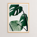 Πίνακας Leafy με ψηφιακή εκτύπωση και πλαίσιο 33x1.5x48εκ