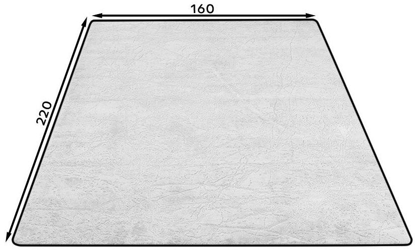 Χαλί Sige Grey 160 x 220 εκ.