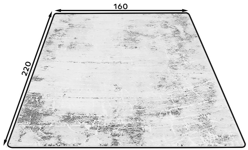 Χαλί Cartoz 160 x 220 εκ.